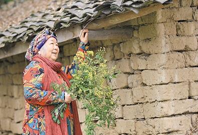 公式“時(shí)尚奶奶”的賞花照，收獲了好多人的點(diǎn)贊。 受訪者供圖