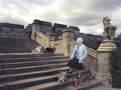 英國(guó)女王與她的愛(ài)犬。