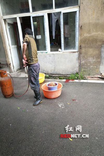 5月8日，男子在校園里殺狗，地上殘留一塊血跡。目擊者供圖。