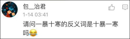 鶴立雞群？雞立鶴群！