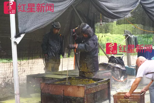 文玩核桃遇冷由幾萬一對降到5元沒人要？商戶否認