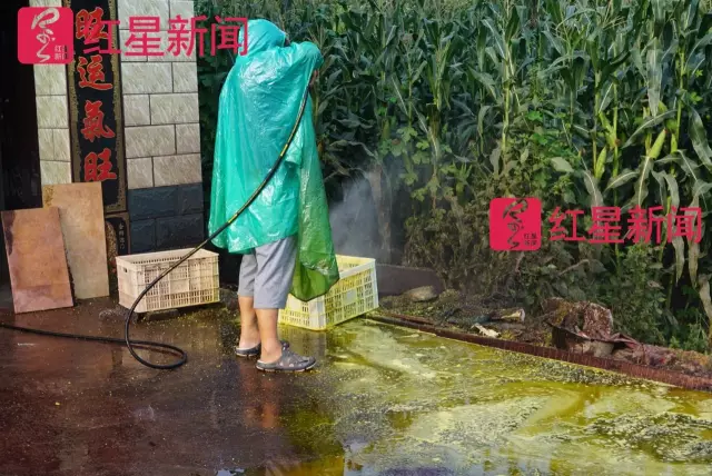 文玩核桃遇冷由幾萬一對降到5元沒人要？商戶否認