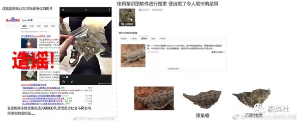 PGone又教給我們一個(gè)新詞：虐粉。