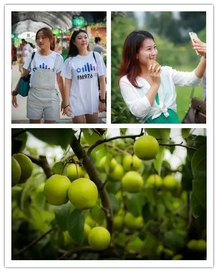 美女與香梨，你更愛哪一個(gè)？！