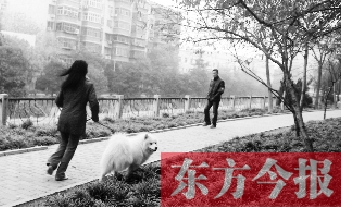 12月3日，鄭州市南關(guān)街熊兒河旁，一名遛狗的女子見到執(zhí)法人員檢查，迅速跑開