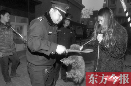 12月3日早上6點(diǎn)半，鄭州市南關(guān)街熊兒河旁，南關(guān)街辦事處的執(zhí)法人員對狗進(jìn)行排查