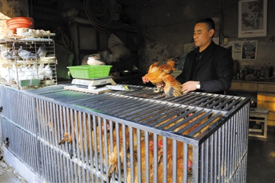 南京另一家農(nóng)貿(mào)市場內(nèi)待售的活雞。因南京出現(xiàn)H7N9禽流病例，買活雞的顧客減少。