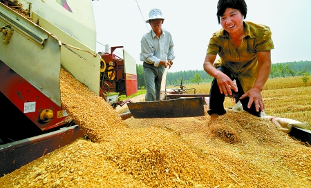6月3日， 濮陽開發(fā)區(qū)胡村鄉(xiāng)后范莊村的續(xù)秀萍看著新打的粒大飽滿的小麥喜上眉梢。