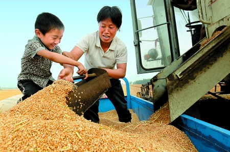 5月27日，確山縣劉店鎮(zhèn)前槽村郭景蓮和小孫子一起收獲小麥，豐收的喜悅寫在了臉上。