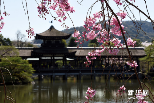 莫負(fù)人間四月天 莫負(fù)人間四月天