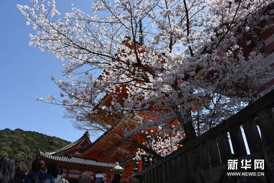 莫負(fù)人間四月天 莫負(fù)人間四月天