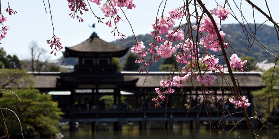 莫負(fù)人間四月天 莫負(fù)人間四月天