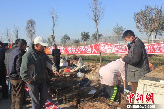 圖為百余名愛狗人士把老李的貨車攔截，數(shù)十人正在從貨車上卸下裝滿狗的鐵籠?！●R義恒　攝