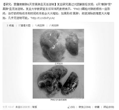 昨天，一則“霧霾使鮮肺6天變黑肺”的新聞在網(wǎng)上引發(fā)熱議。網(wǎng)絡(luò)截圖