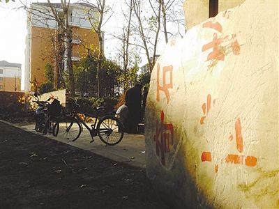 昨日，“上海奇石盆景博物館”原址上，已矗立起小區(qū)樓盤，而刻著博物館名的巨石，廢棄在一旁。本版圖片/新京報(bào)記者 張永生 攝