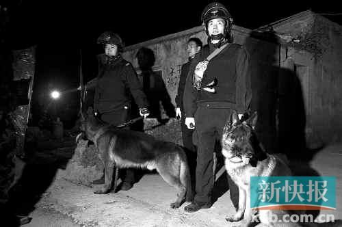 緝毒犬協(xié)助警方搜查毒品。
