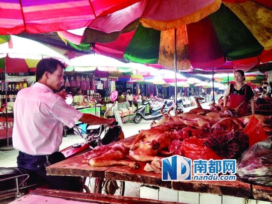  昨日，玉林垌口市場，一位市民在購買狗肉。