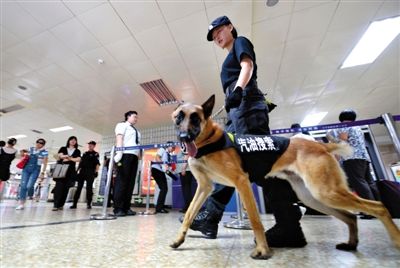 地鐵王府井站搜汽油警犬在安檢口巡邏。新京報(bào)記者 王貴彬 攝