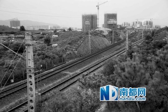 　東源縣法院院長(zhǎng)被火車撞亡事發(fā)地段。