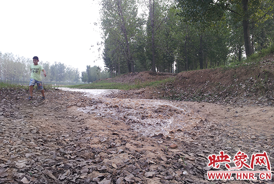18日丹江水沿澎河流向白龜山水庫，孩子歡騰起來，跟著水頭奔跑。