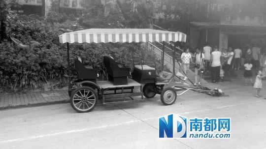 園方則稱解剖后發(fā)現(xiàn)馬死于心臟衰竭，“與累無關(guān)”。