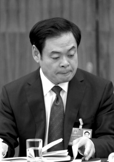 王儒林 王儒林