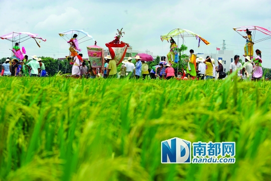 崖口村每年都在村里舉行飄色巡游活動。