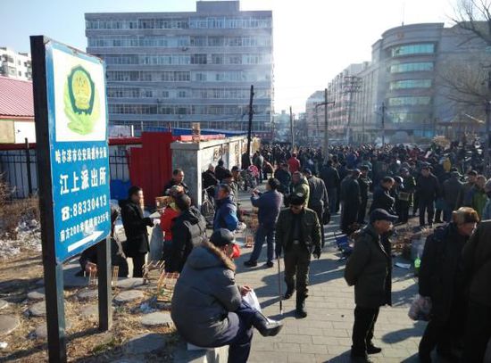 販賣野生鳥的鳥市毗鄰著當地派出所。