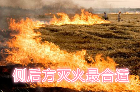 不要在風(fēng)頭上打火：風(fēng)正大，火正旺，最容易傷人；