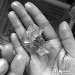 溫州市民買(mǎi)到“注膠蝦”業(yè)內(nèi)人稱(chēng)為增加重量 溫州市民買(mǎi)到“注膠蝦”業(yè)內(nèi)人稱(chēng)為增加重量