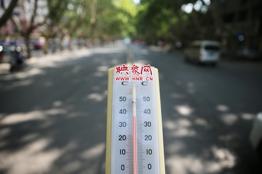 7月8日下午15時(shí)30分，人民路樹陰處溫度為36度，比人防納涼處高11度。