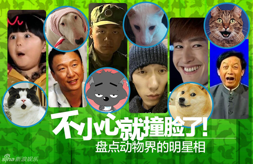 不小心就撞臉了！盤點動物界的明星相