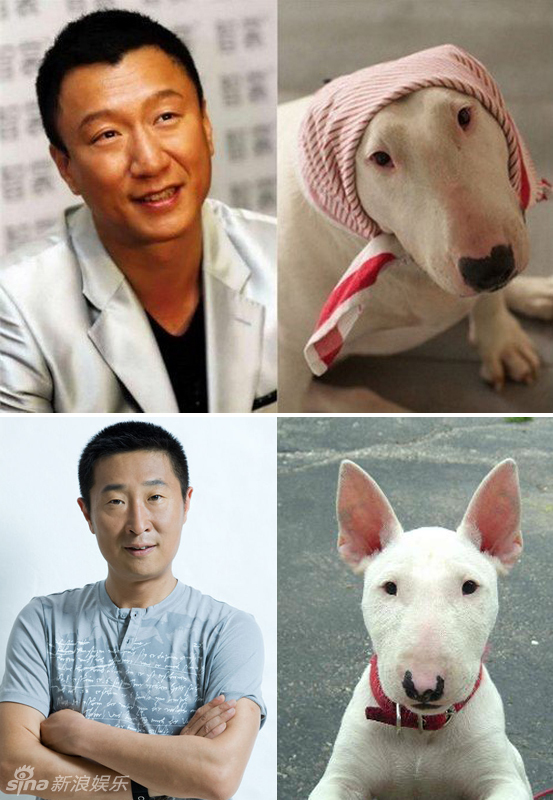 不小心就撞臉了！盤點動物界的明星相
