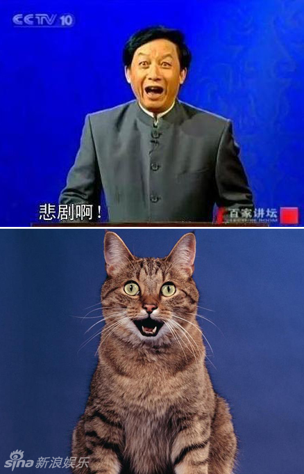 不小心就撞臉了！盤點動物界的明星相
