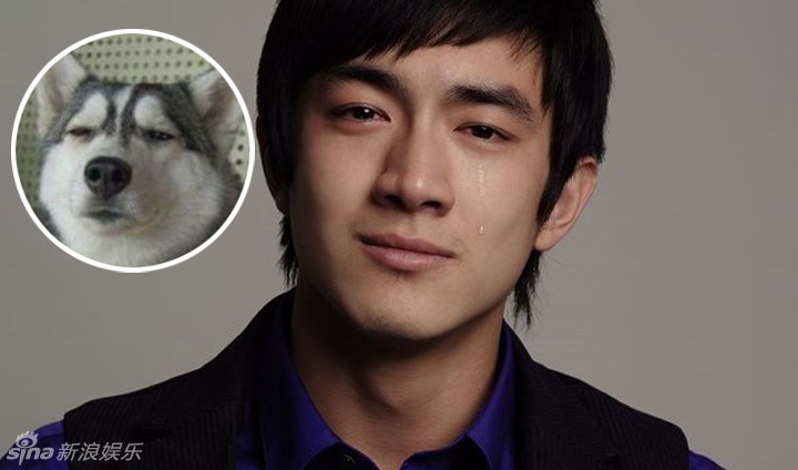 不小心就撞臉了！盤點動物界的明星相