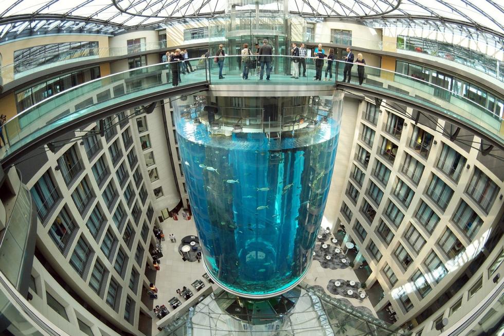 在圓柱水族館主體下方，還有一些別的展館。