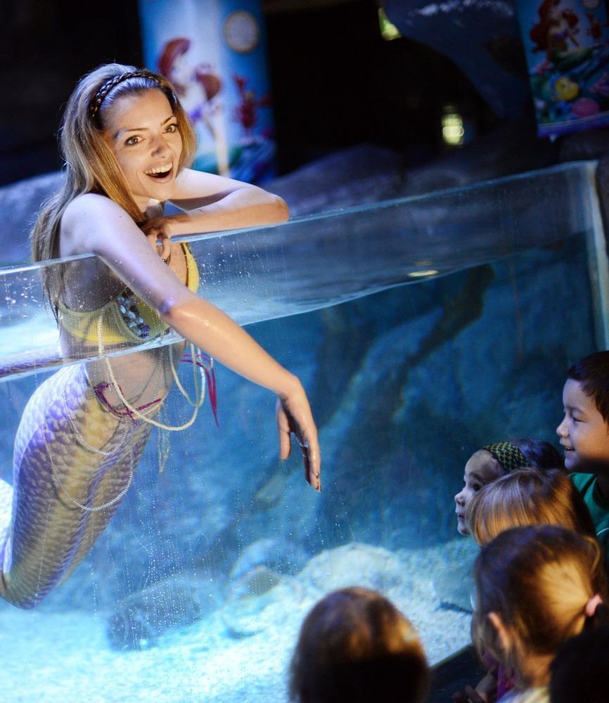 德國女演員安妮·門登在水族館里客串了一把“美人魚”，順便為她的電影《小美人魚》做宣傳。
