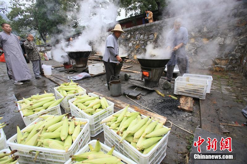 少林禪耕農(nóng)場(chǎng)迎來秋收 免費(fèi)煮玉米送游客