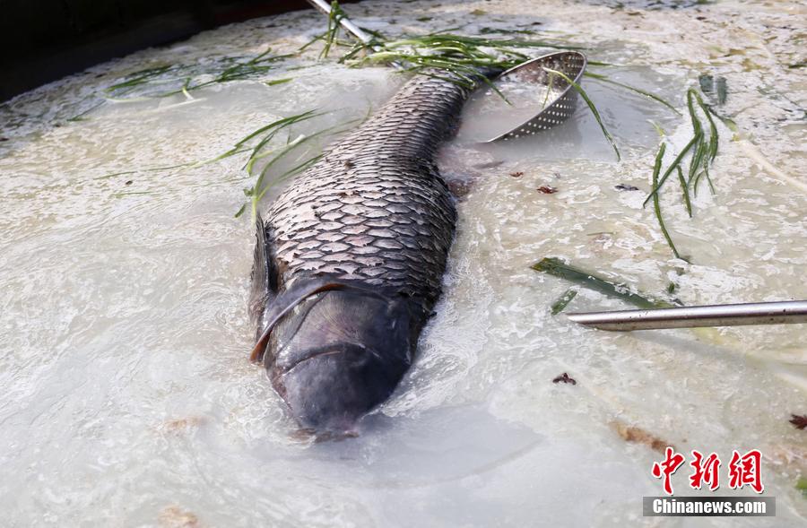 “魚王”在3米大鍋內烹飪。 圖片來源：CFP視覺中國