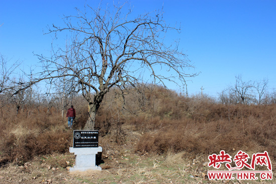在叔齊墓的前面，豎著新鄭市人民政府今年剛立的石碑，上面寫著“新鄭市文物保護單位”。