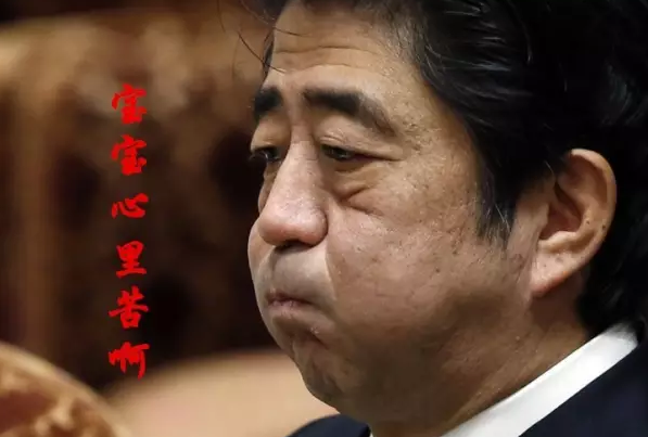 這種看安倍“熱鬧”的事兒，環(huán)環(huán)絕不私藏，一定雨露均沾!