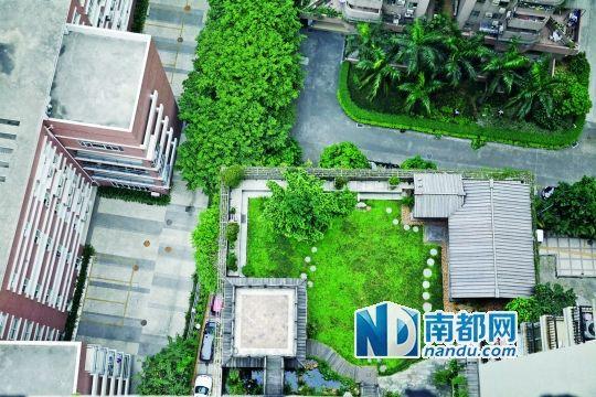中旅商務(wù)大廈的“空中花園”。