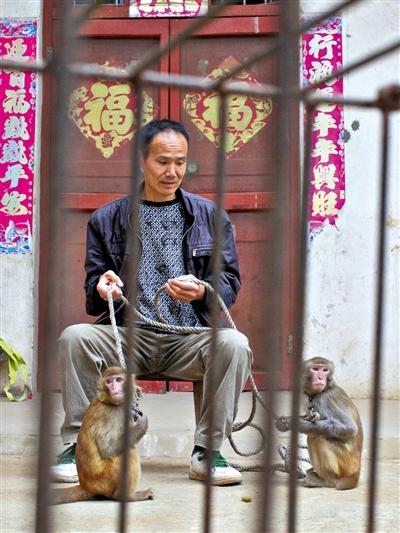 10月13日，耍猴人鮑慶山牽著從牡丹江帶回的兩只小猴在家門口玩耍。