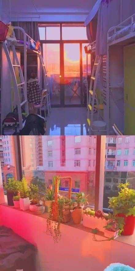 這個(gè)學(xué)校的男生宿舍火了！女同學(xué)都喊著要嫁