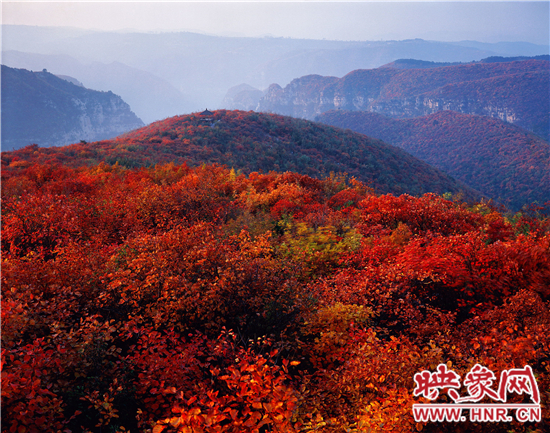 青天河景區(qū)空氣負(fù)離子濃度超高 是天然大氧吧 青天河景區(qū)空氣負(fù)離子濃度超高 是天然大氧吧