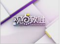 《觀點(diǎn)致勝》20130106