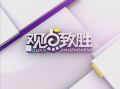 《觀點致勝》20130116