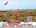 新修馬路種黃豆  如此做法為哪般？