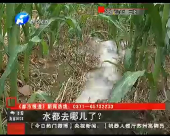 水都去哪了？