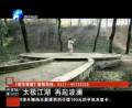 太極江湖 再起波瀾